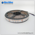 DC12V / 24V 144LEDs / M двойной строки SMD5050 RGBW Светодиодные полосы света